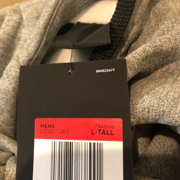 Nike men’s THERMA hoodie 932007-063  Large-Tall - Picture 7 of 8